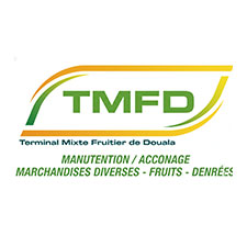 TMFD